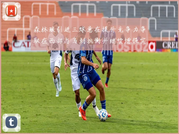 森林狼引进三球意在提升竞争力争取在西部与马刺抗衡并继续增强实力